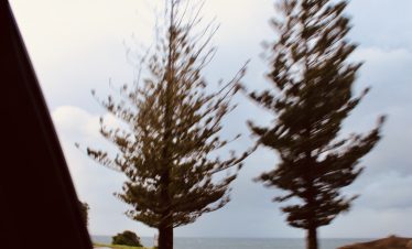 img 0668