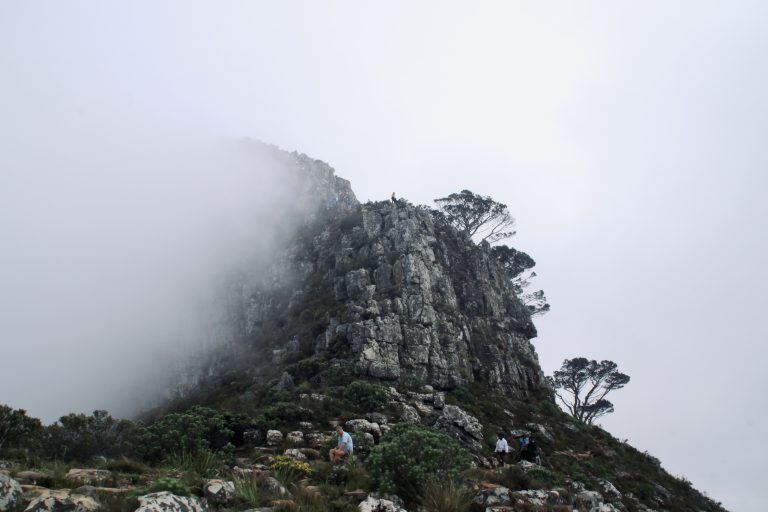 Lion's Head